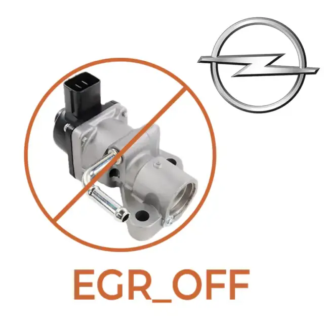 Opel EGR_off