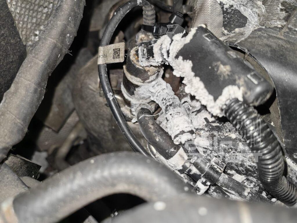 Отключение мочевины Volkswagen Sharan 2.0TDI 2018