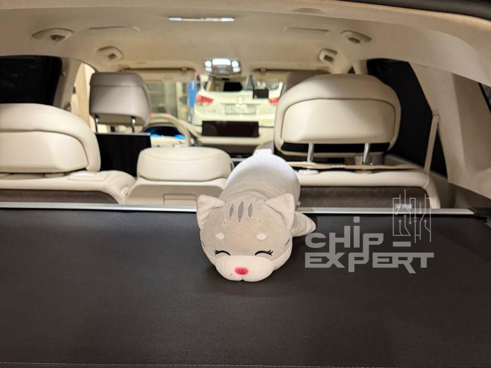 Отключение мочевины Genesis GV80 3.0D 2022