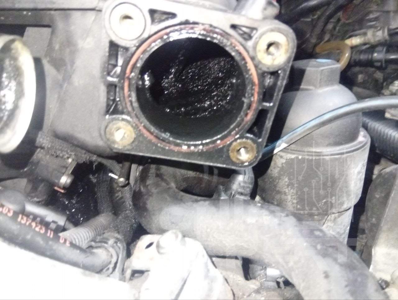 BMW E60 — chip-expert.pro